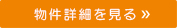 詳細を見る
